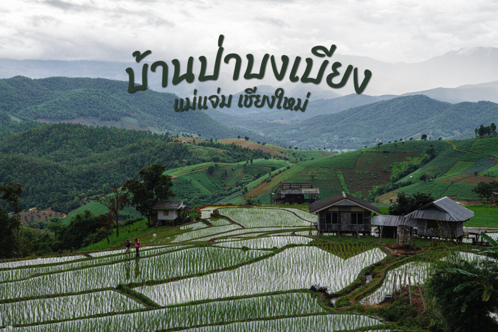 บ้านป่าบงเบียง 