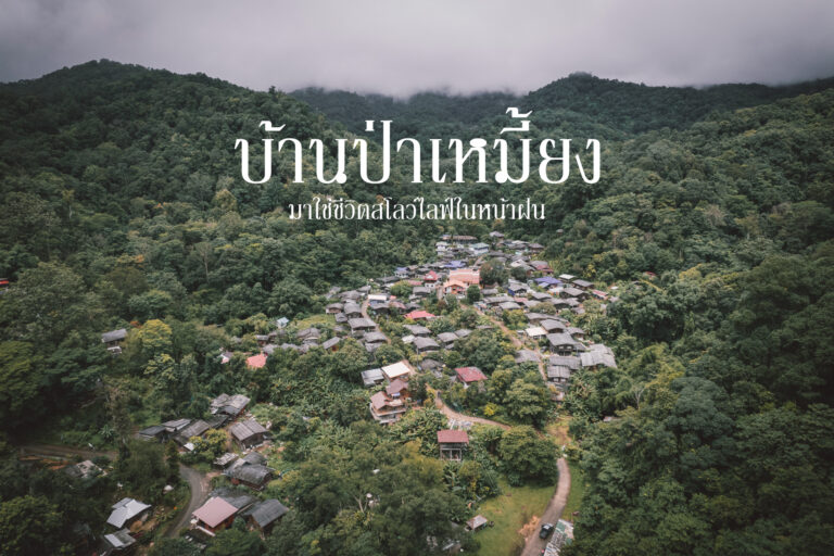 บ้านป่าเหมี้ยง